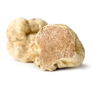 White truffle